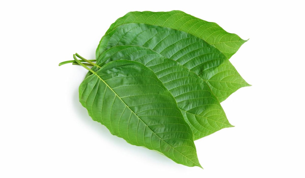 kratom-ok